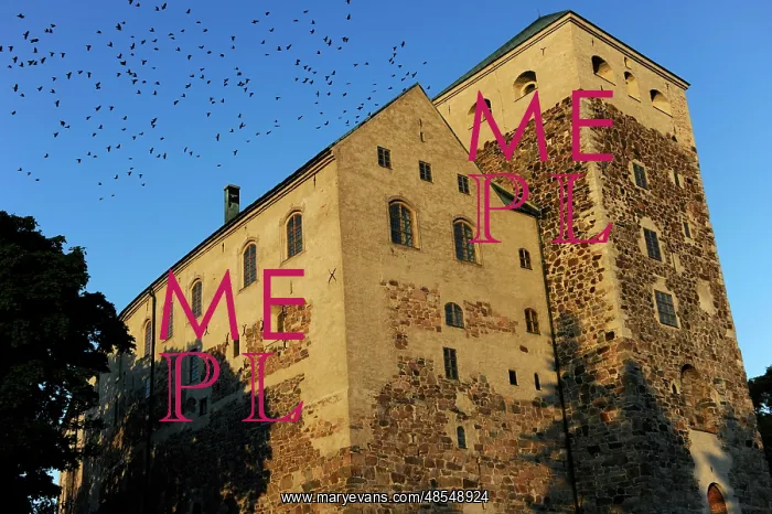  : Finland. Turku. Castle