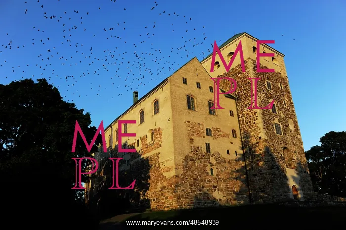  : Finland. Turku. Castle