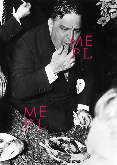 : Fiorello Henry La Guardia : Fiorello Henry La Guardia