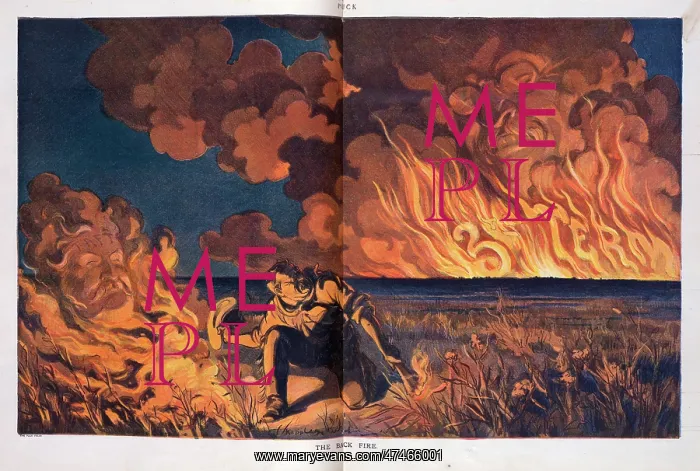 : The back fire : The back fire