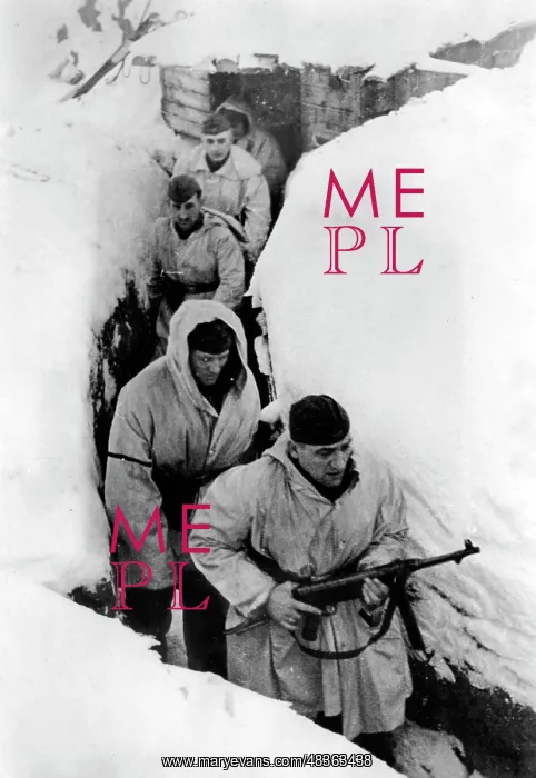 : Fire trench on the front at Lake Ilmen, 1943 : Fire trench on the front at Lake Ilmen, 1943