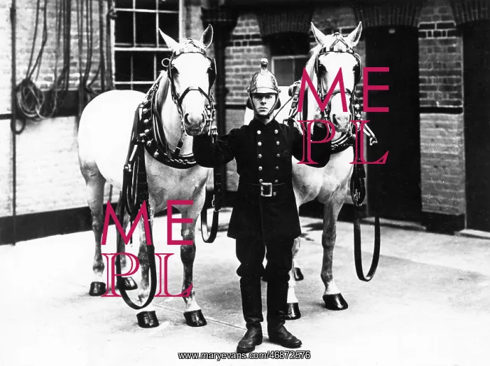 : Fireman in brass helmet with two white horses : Fireman in brass helmet with two white horses