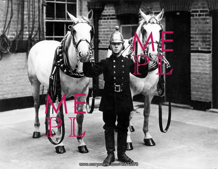 : Fireman in brass helmet with two white horses : Fireman in brass helmet with two white horses