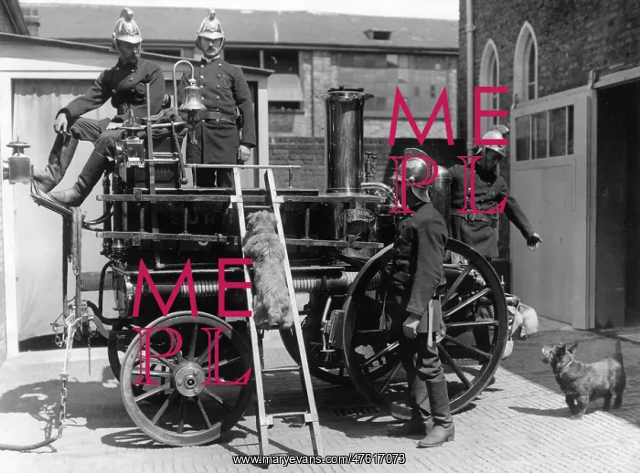 : Firemen with fire engine and dogs, Surbiton, Surrrey : Firemen with fire engine and dogs, Surbiton, Surrrey