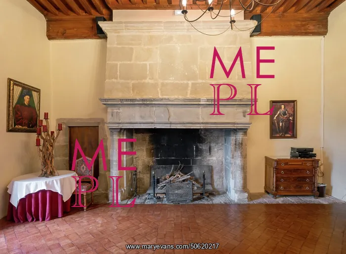 : Fireplace, Chateau des ducs de Joyeuse, Couiza, France : Fireplace, Chateau des ducs de Joyeuse, Couiza, France