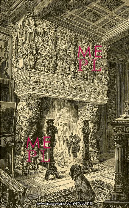 : Fireplace of the Hotel Terre Neuve : Fireplace of the Hotel Terre Neuve