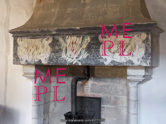 : Fireplace, Library, Chateau du Plessis-Bourre, Ecuille : Fireplace, Library, Chateau du Plessis-Bourre, Ecuille