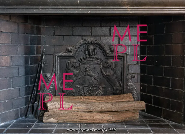 : Fireplace, Library, Chateau de la Chaize, Odenas, Rhone : Fireplace, Library, Chateau de la Chaize, Odenas, Rhone