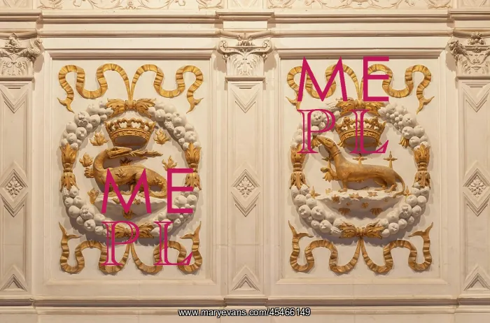 : Fireplace relief, Chateau de Chenonceau : Fireplace relief, Chateau de Chenonceau