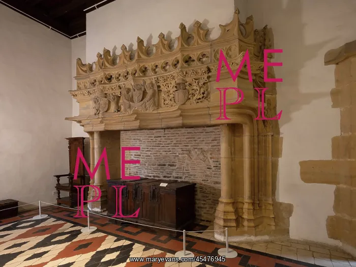 : Fireplace, Salle de Bourbon, Abbaye de Cluny : Fireplace, Salle de Bourbon, Abbaye de Cluny