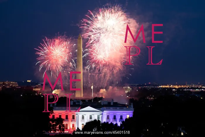 : Fireworks in Washington, DC, during the Salute : Fireworks in Washington, DC, during the Salute