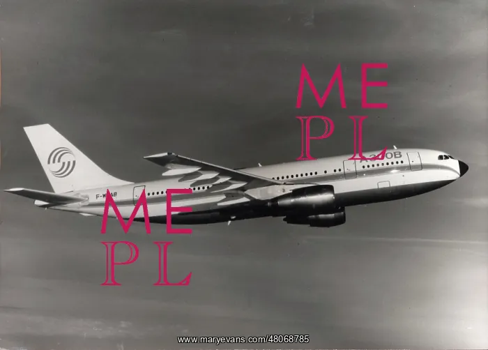 : The first A300 F-WUAB during flight trials : The first A300 F-WUAB during flight trials