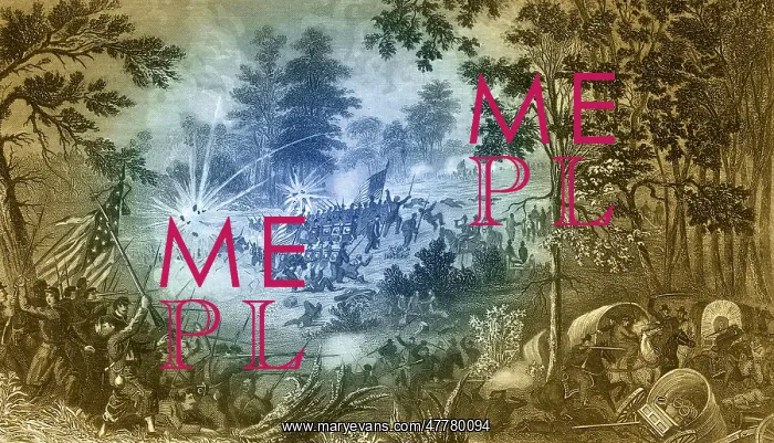 : First Battle of Bull Run, 1861 : First Battle of Bull Run, 1861