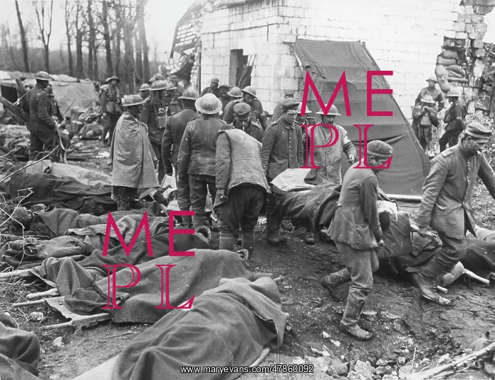: First Battle of the Scarpe 1917 : First Battle of the Scarpe 1917
