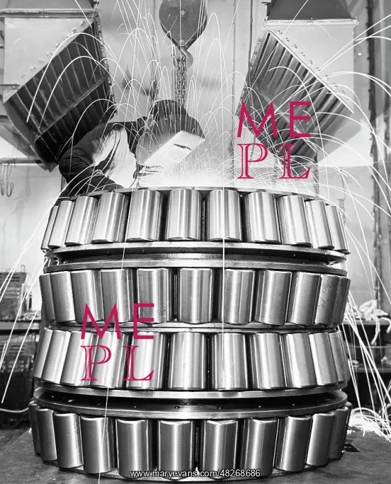 : First bearing plant : First bearing plant