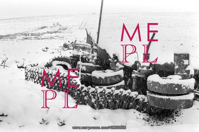 : First Chechen War, 1994 : First Chechen War, 1994