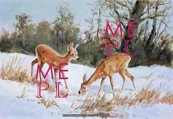  : First Experience of Snow ' Two Fawns