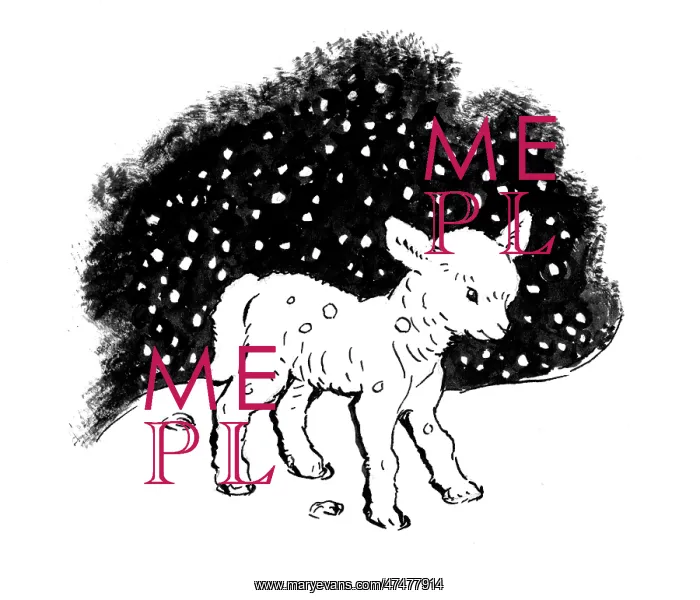 : The First Greeting - lamb in the snow : The First Greeting - lamb in the snow