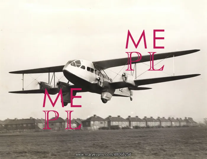 : The first de Havilland DH86 Express Air Liner E2 : The first de Havilland DH86 Express Air Liner E2
