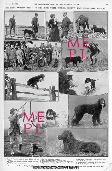 : The first Irish Water Spaniel club trials, 1908 : The first Irish Water Spaniel club trials, 1908