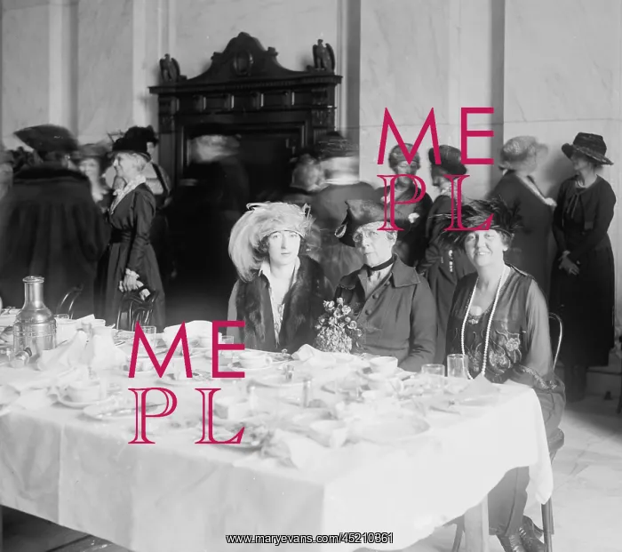: First Lady Florence Harding (1860-1924), ? : First Lady Florence Harding (1860-1924), ?