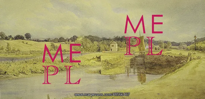 : The First Lock on the Lagan : The First Lock on the Lagan