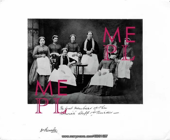 : The first members of the Norwich staff of Nurses : The first members of the Norwich staff of Nurses