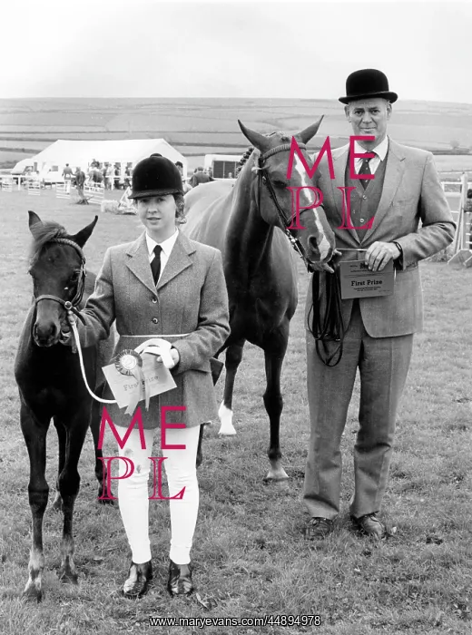 : First prize mare and foal at the Royal Cornwall Show : First prize mare and foal at the Royal Cornwall Show