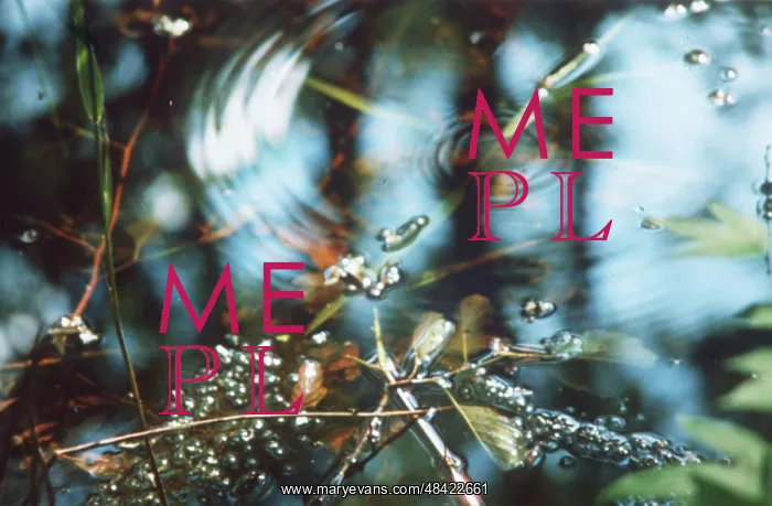 : First Raindrop photo art work, 1990 : First Raindrop photo art work, 1990