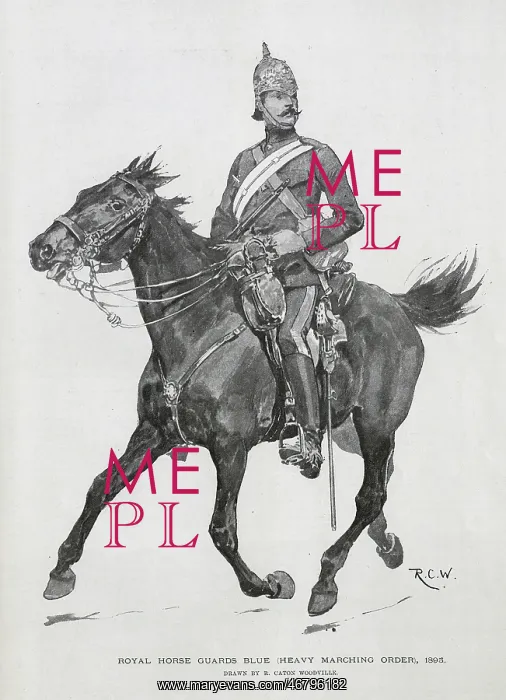 : First Regiment of Life Guards Blue, Illustration by R C W : First Regiment of Life Guards Blue, Illustration by R C W