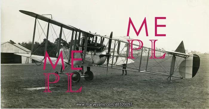 : The first Royal Aircraft Factory FE2d : The first Royal Aircraft Factory FE2d