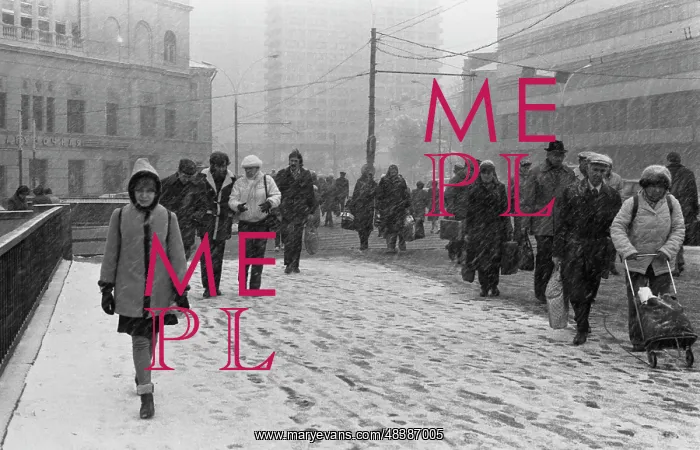 : First snow : First snow