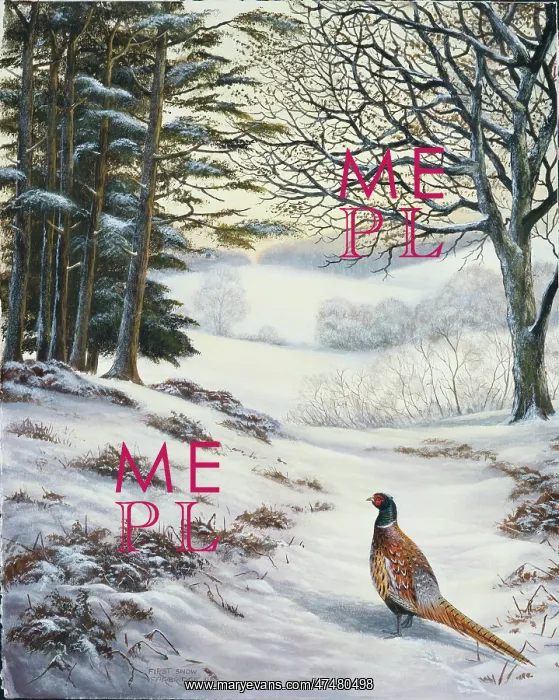: First Snow ' pheasant : First Snow ' pheasant