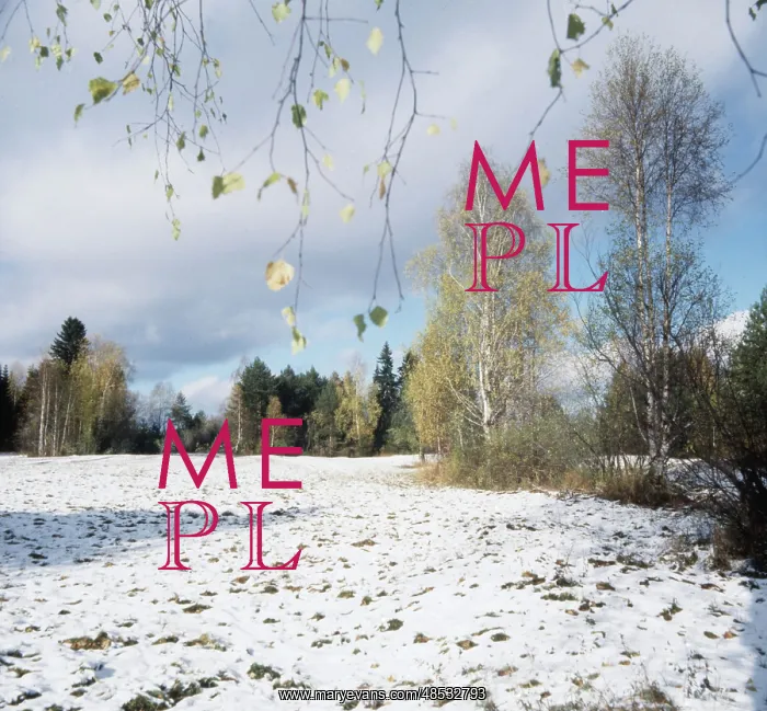 : First Snow photo art work, 1990 : First Snow photo art work, 1990