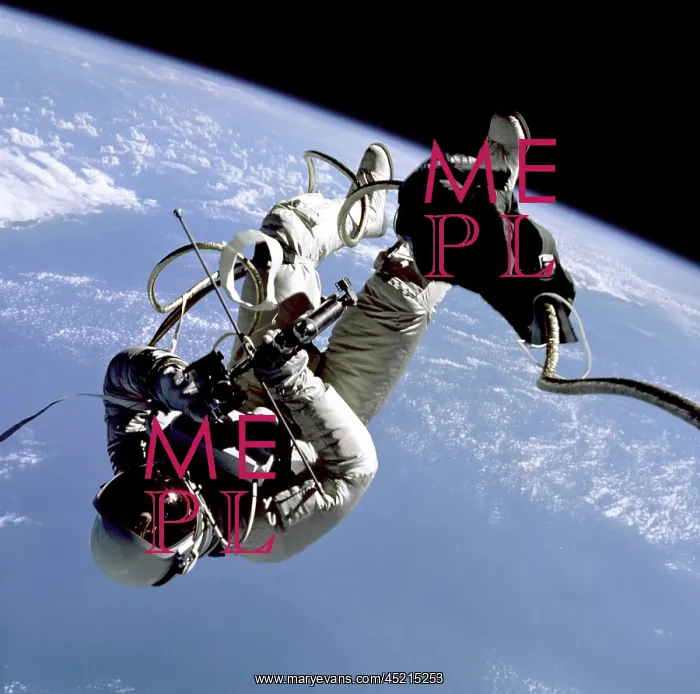 : First US Space walk performed by Astronaut ? : First US Space walk performed by Astronaut ?