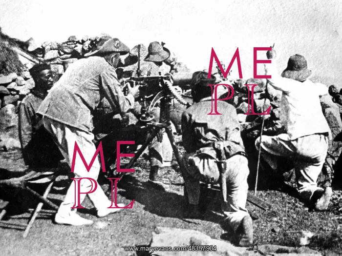 : First World War in Cameroon : First World War in Cameroon