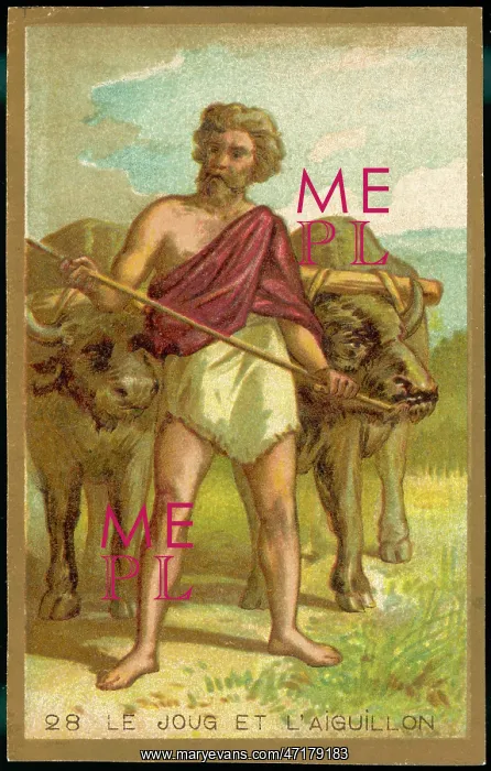  : First Yoke