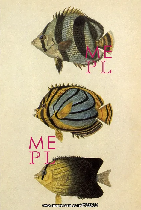  : Three Fish