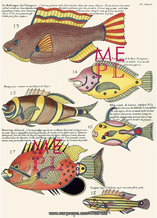  : Six Fish