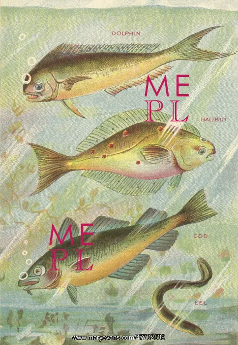  : Four Fish