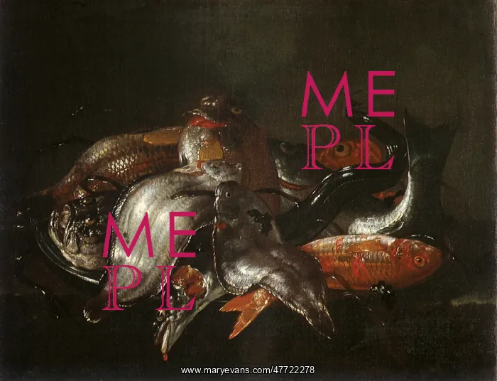 : Fish : Fish
