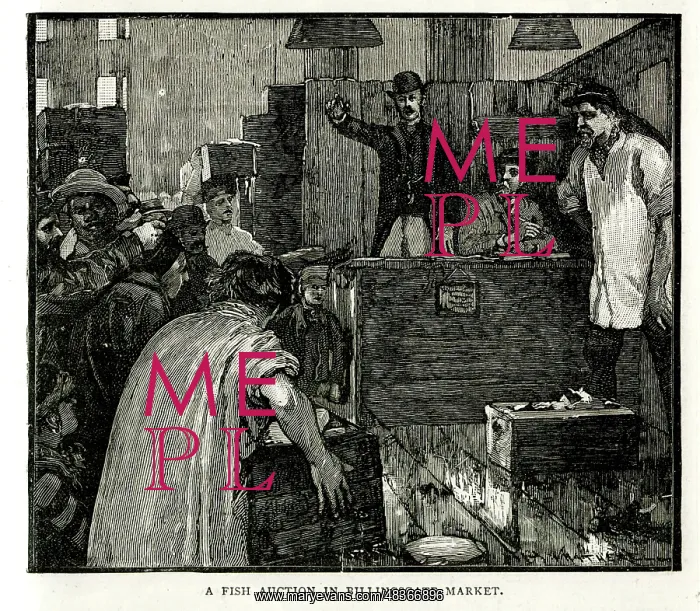 : A Fish Auction in Billingsgate Market : A Fish Auction in Billingsgate Market