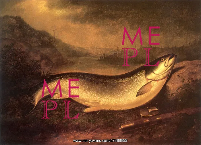  : Fish on the Bank
