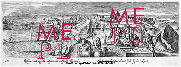  : FISH CATCHING / CURING C17