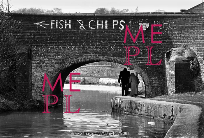  : Fish and Chips bridge Stoke