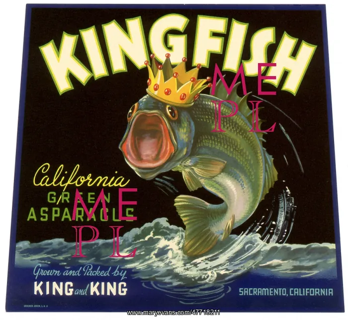  : Fish with Crown