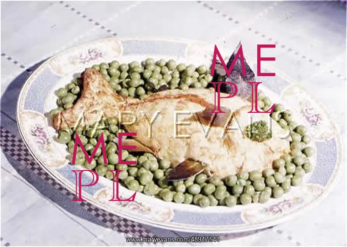 : FISH DISH 1960S : FISH DISH 1960S