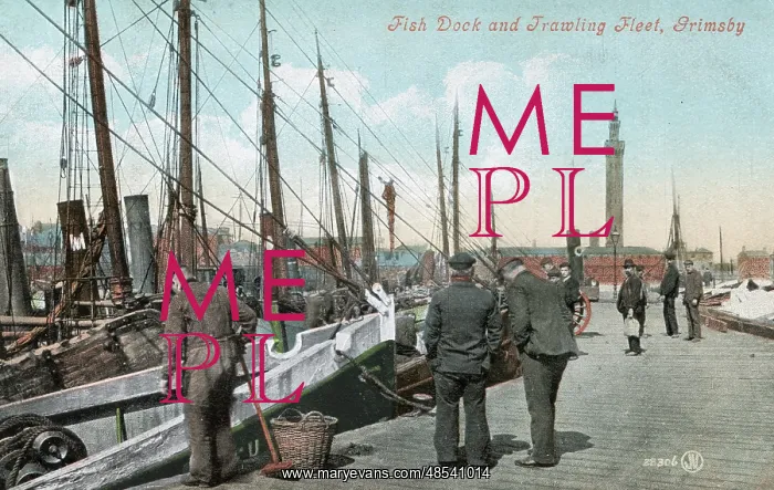 : Fish Dock and Trawling Fleet, Grimsby, Lincolnshire : Fish Dock and Trawling Fleet, Grimsby, Lincolnshire
