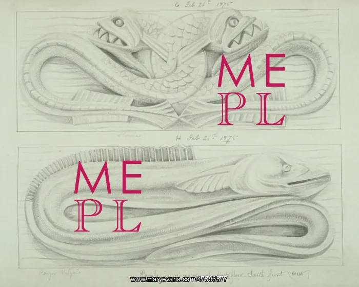 : Fish and eel design : Fish and eel design