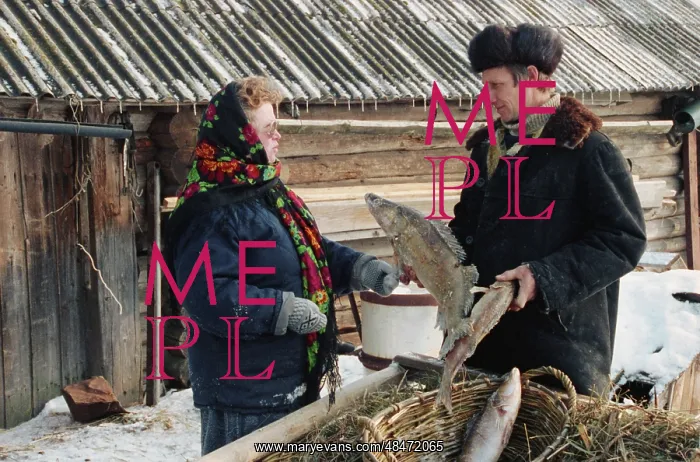 : Fish farm. RUSSIA. January 1, 1993. Fisherman Dorogovichev shows pike perchers : Fish farm. RUSSIA. January 1, 1993. Fisherman Dorogovichev shows pike perchers